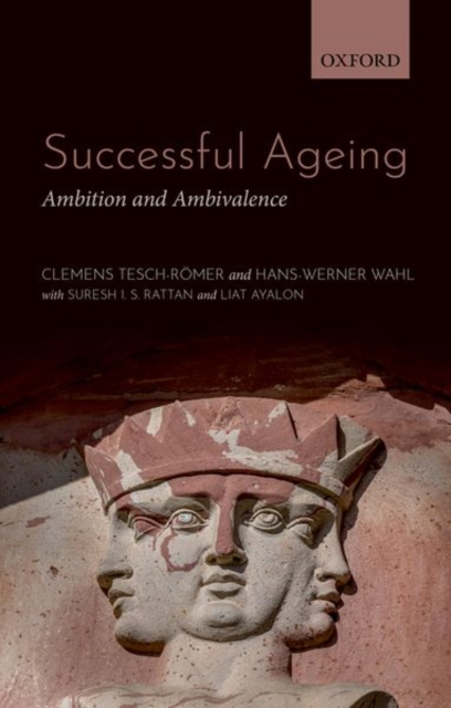 Successful Ageing : Ambition and Ambivalence, Paperback / softback Book