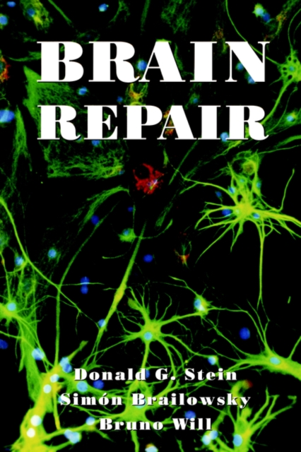 Brain Repair, Paperback / softback Book