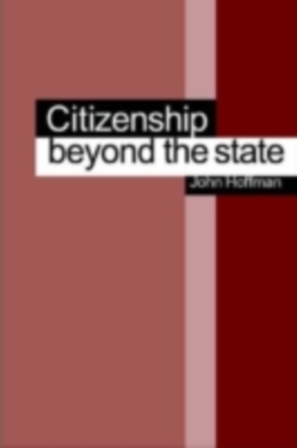 Beyond Citizenship : American Identity After Globalization, Hardback Book