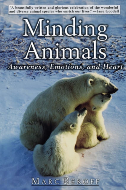 Minding Animals : Awareness, Emotions, and Heart, Paperback / softback Book