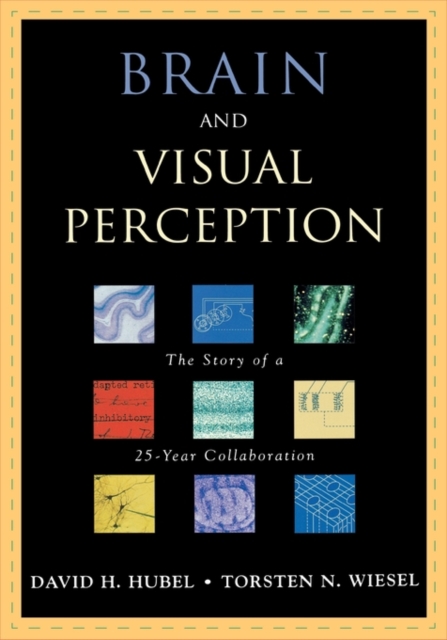 Brain and Visual Perception : The Story of a 25-year Collaboration, Hardback Book