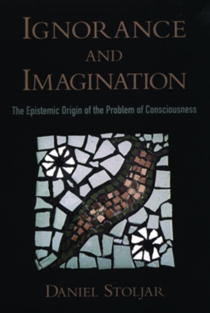 Ignorance and Imagination : The Epistemic Origin of the Problem of Consciousness, Hardback Book
