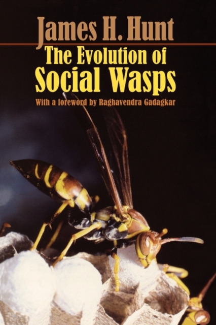 The Evolution of Social Wasps, Paperback / softback Book
