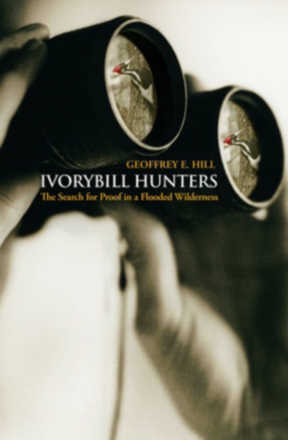 Ivorybill Hunters : Search for Proof in a Flooded Wilderness, Hardback Book
