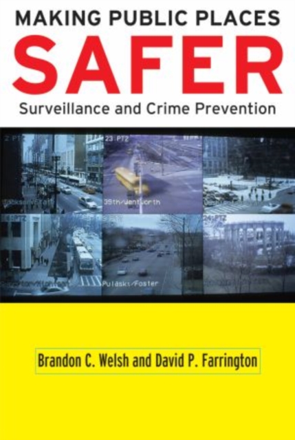 Making Public Places Safer : Surveillance and Crime Prevention, Hardback Book
