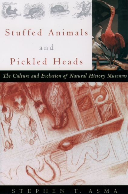Stuffed Animals and Pickled Heads : The Culture and Evolution of Natural History Museums, PDF eBook