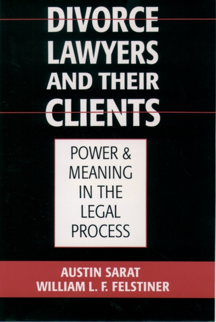 Divorce Lawyers and Their Clients : Power and Meaning in the Legal Process, PDF eBook