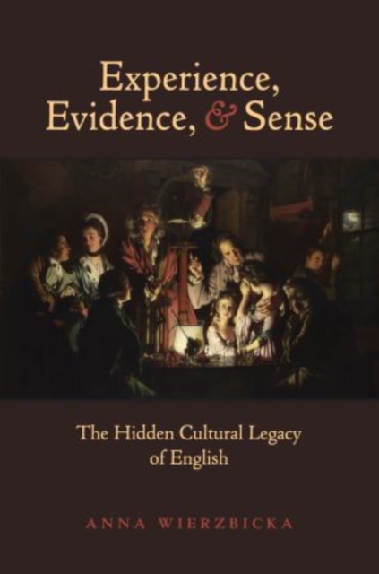 Experience, Evidence, and Sense : The Hidden Cultural Legacy of English, Paperback / softback Book