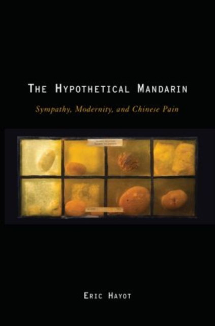 The Hypothetical Mandarin : Sympathy, Modernity, and Chinese Pain, Paperback / softback Book