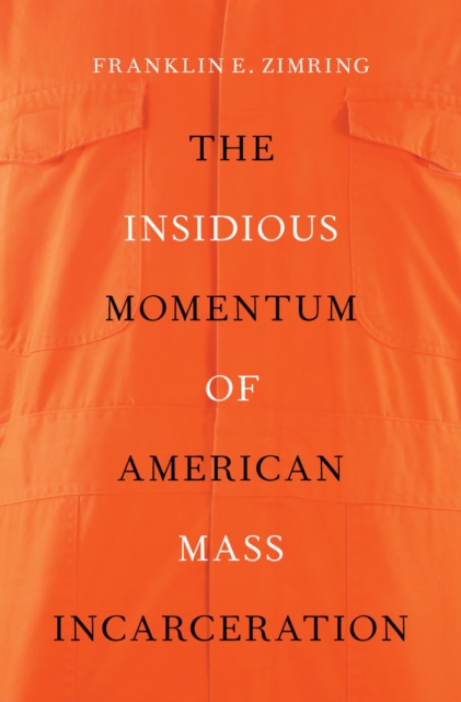 The Insidious Momentum of American Mass Incarceration, EPUB eBook