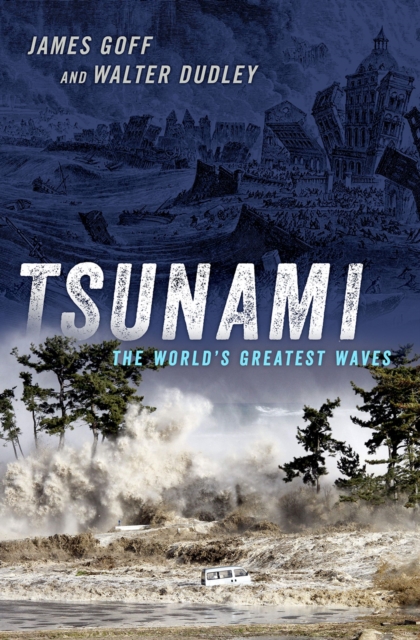 Tsunami : The World's Greatest Waves, PDF eBook