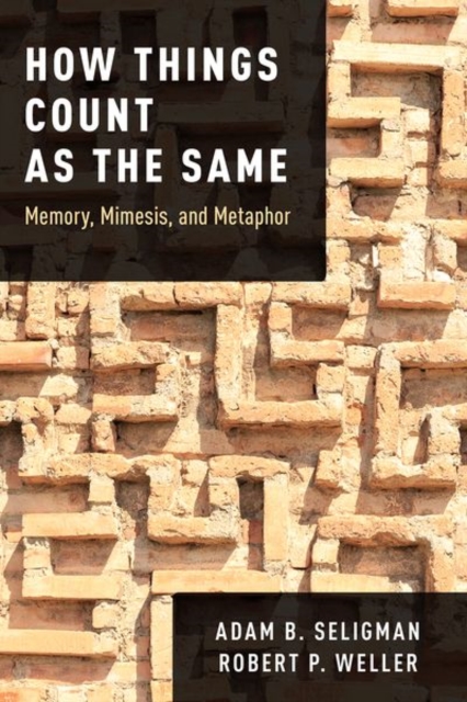 How Things Count as the Same : Memory, Mimesis, and Metaphor, Paperback / softback Book