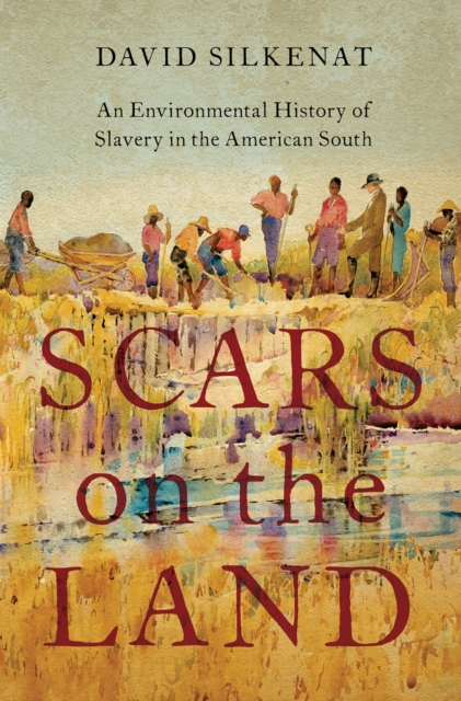 Scars on the Land : An Environmental History of Slavery in the American South, PDF eBook