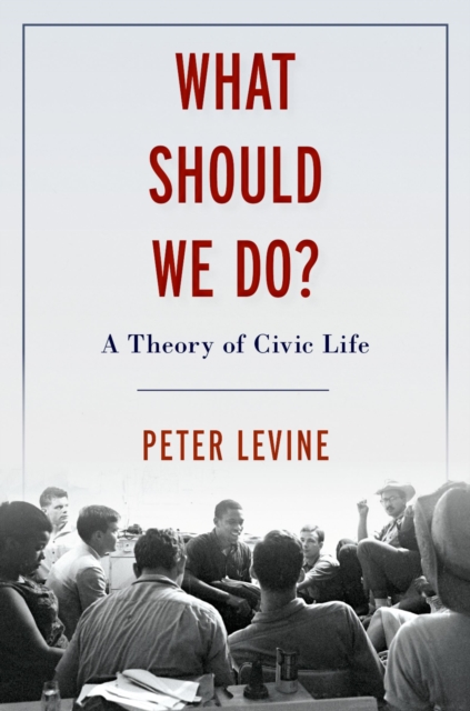 What Should We Do? : A Theory of Civic Life, EPUB eBook
