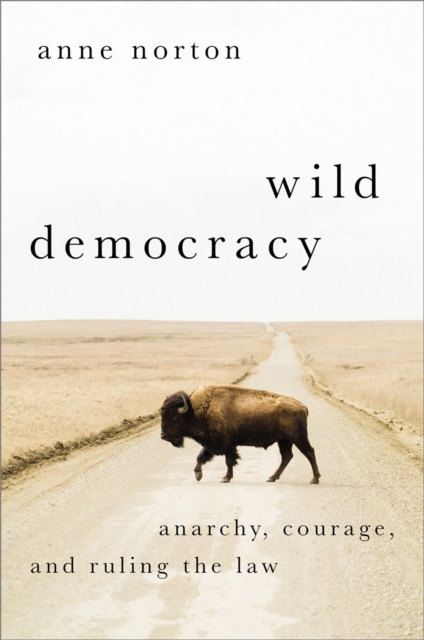 Wild Democracy : Anarchy, Courage, and Ruling the Law, PDF eBook
