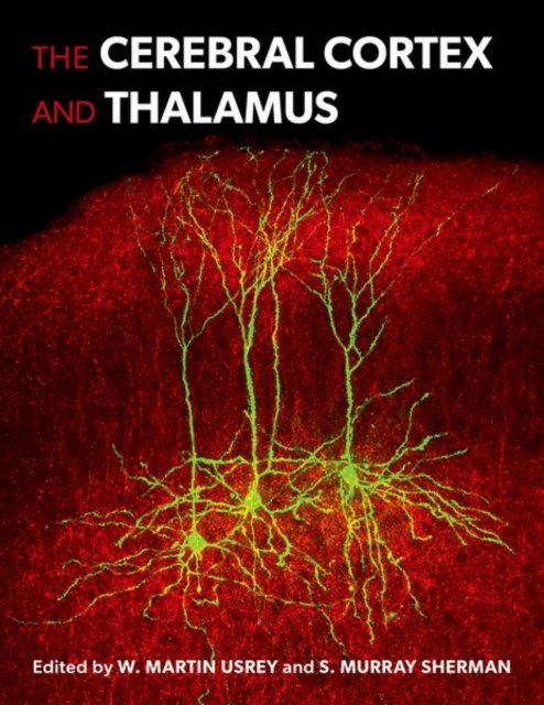 The Cerebral Cortex and Thalamus, Hardback Book