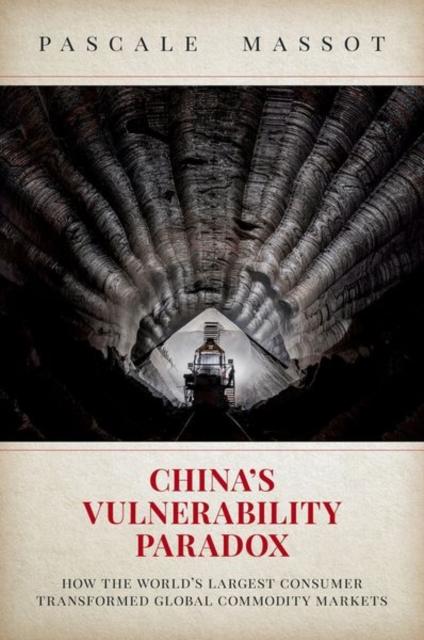 China's Vulnerability Paradox : How the World's Largest Consumer Transformed Global Commodity Markets, Paperback / softback Book