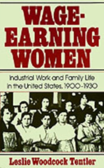 Wage-Earning Women : Industrial Work and Family Life in the United States, 1900-1930, PDF eBook