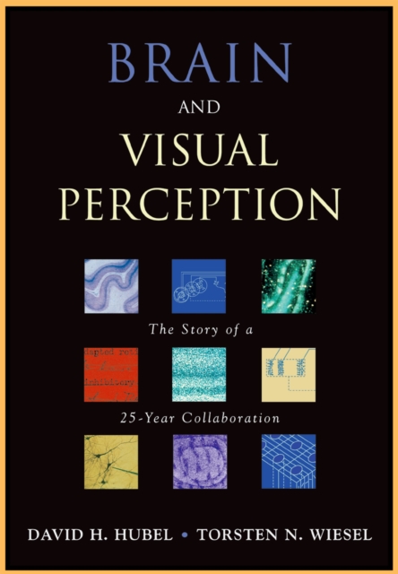 Brain and Visual Perception : The Story of a 25-Year Collaboration, PDF eBook