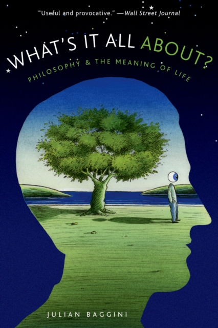 What's It All About? : Philosophy and the Meaning of Life, PDF eBook