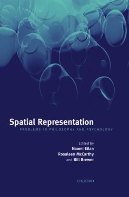 Spatial Representation : Problems in Philosophy and Psychology, Paperback / softback Book