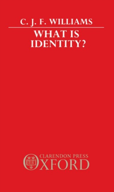 What is Identity?, Hardback Book