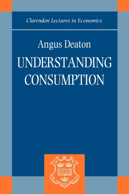 Understanding Consumption, Paperback / softback Book