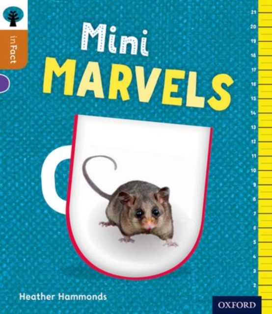 Oxford Reading Tree inFact: Level 8: Mini Marvels, Paperback / softback Book