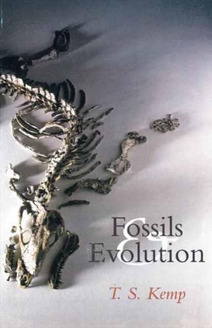Fossils and Evolution, Paperback / softback Book