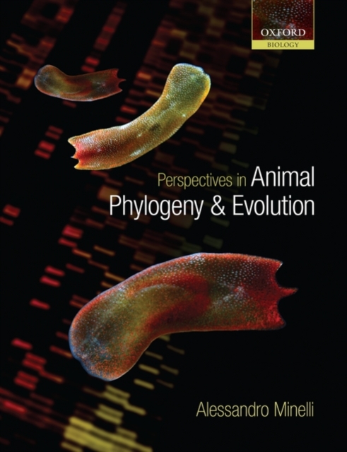 Perspectives in Animal Phylogeny and Evolution, Paperback / softback Book