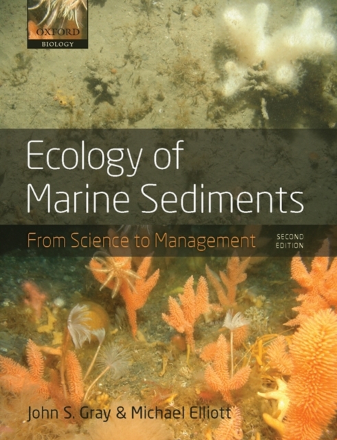 Ecology of Marine Sediments : From Science to Management, Paperback / softback Book