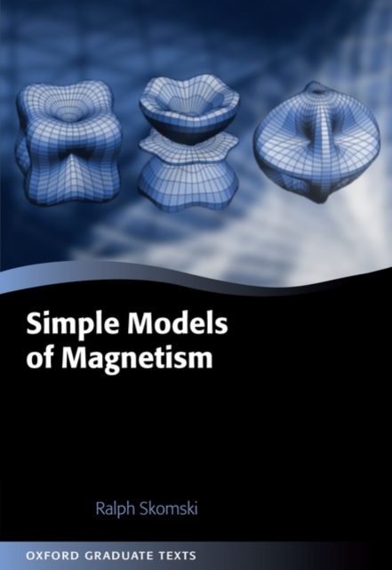 Simple Models of Magnetism, Hardback Book