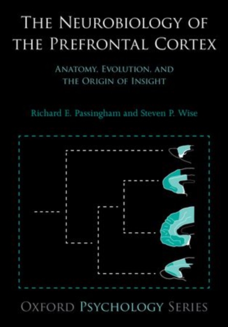 The Neurobiology of the Prefrontal Cortex : Anatomy, Evolution, and the Origin of Insight, Paperback / softback Book