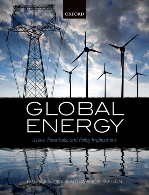Global Energy : Issues, Potentials, and Policy Implications, Hardback Book