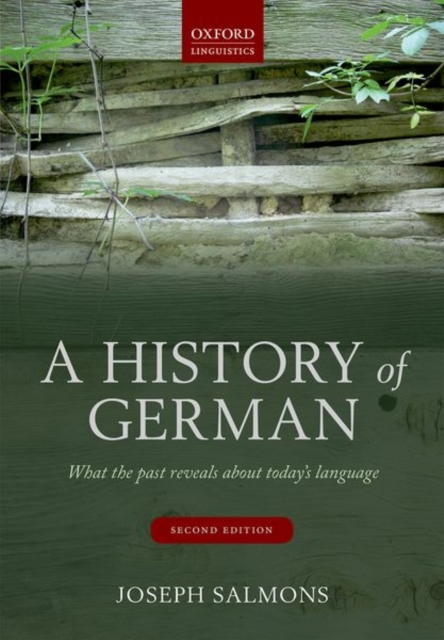 A History of German : What the Past Reveals about Today's Language, Paperback / softback Book