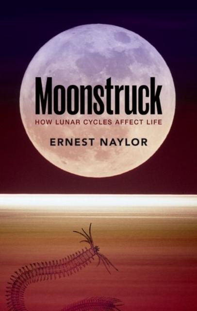 Moonstruck : How lunar cycles affect life, Paperback / softback Book