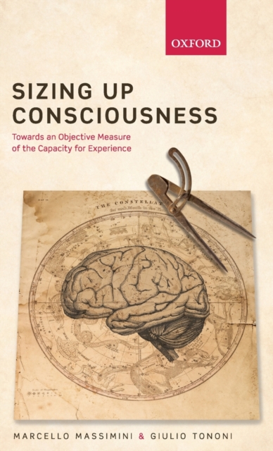 Sizing up Consciousness : Towards an objective measure of the capacity for experience, Hardback Book