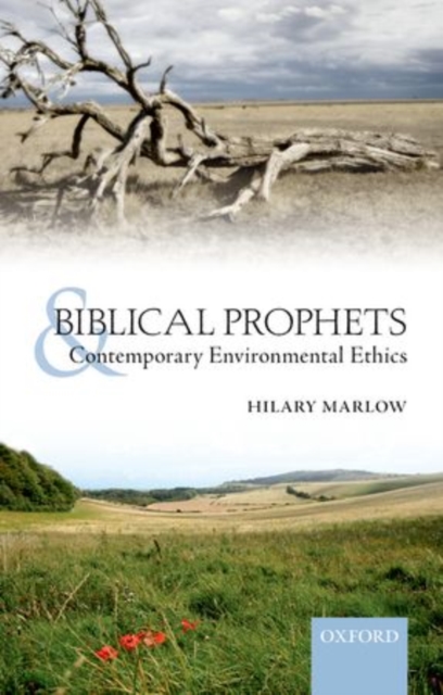 Biblical Prophets and Contemporary Environmental Ethics, Paperback / softback Book