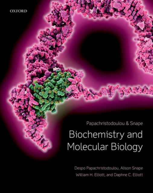 Biochemistry and Molecular Biology, Paperback / softback Book