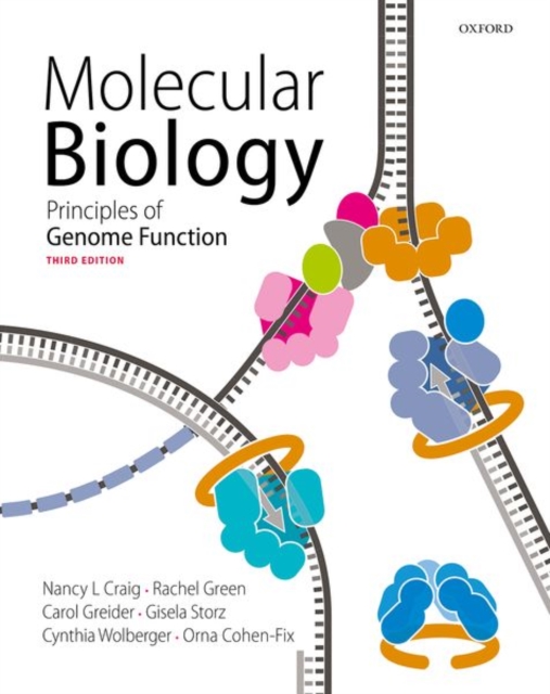 Molecular Biology : Principles of Genome Function, Paperback / softback Book