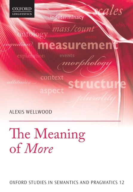 The Meaning of More, Paperback / softback Book