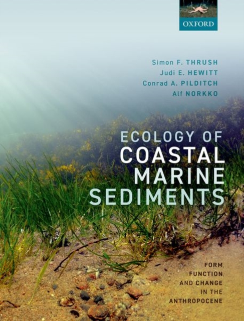 Ecology of Coastal Marine Sediments : Form, Function, and Change in the Anthropocene, Paperback / softback Book