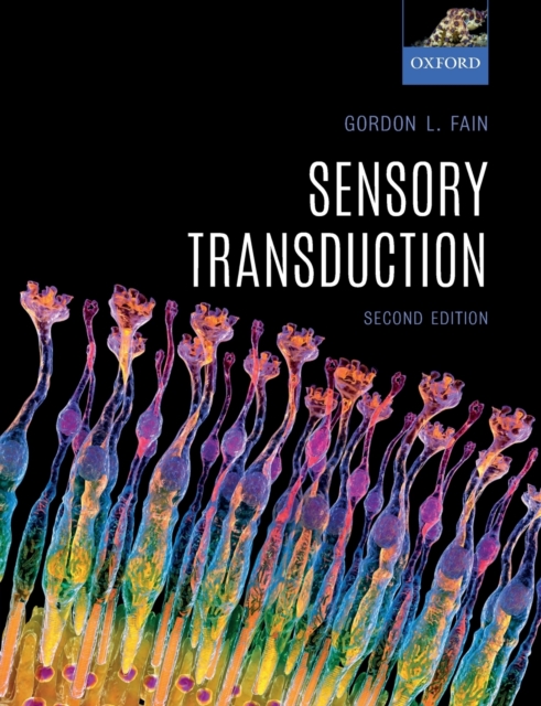 Sensory Transduction, Paperback / softback Book