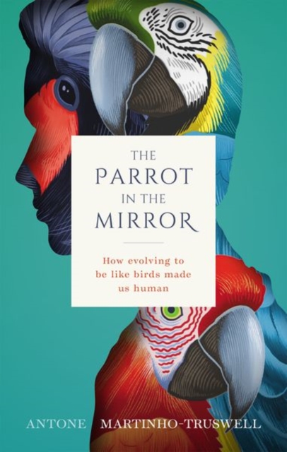 The Parrot in the Mirror : How evolving to be like birds made us human, Hardback Book