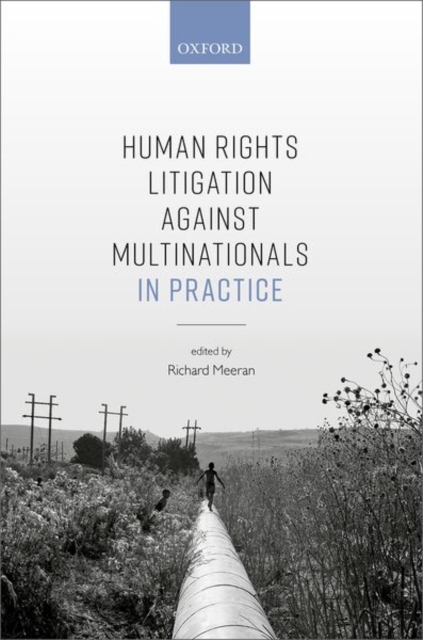 Human Rights Litigation against Multinationals in Practice, Hardback Book