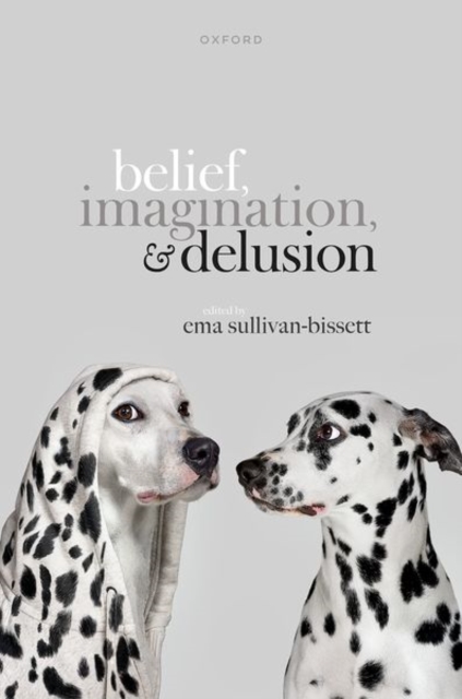 Belief, Imagination, and Delusion, Hardback Book