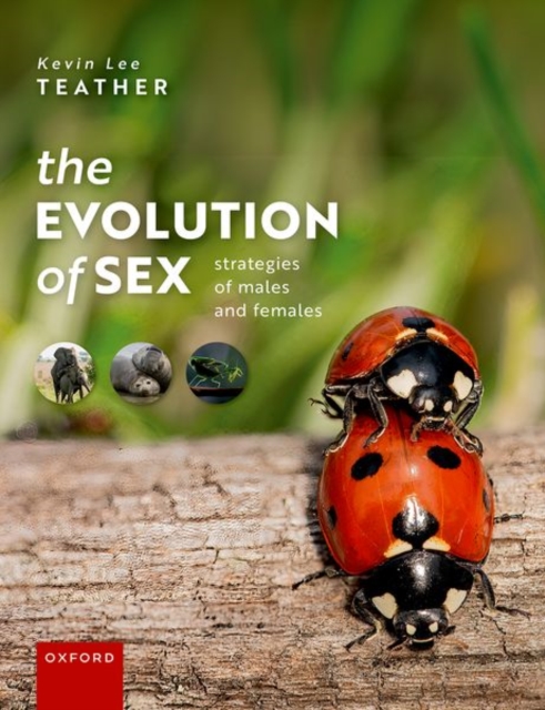 The Evolution of Sex : Strategies of Males and Females, Paperback / softback Book