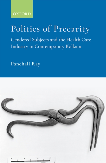 Politics of Precarity : Gendered Subjects and the Health Care Industry in Contemporary Kolkata, EPUB eBook