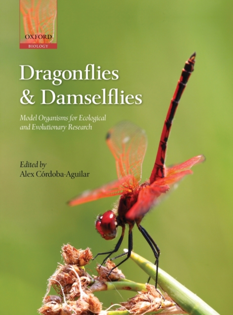 Dragonflies and Damselflies : Model Organisms for Ecological and Evolutionary Research, Hardback Book
