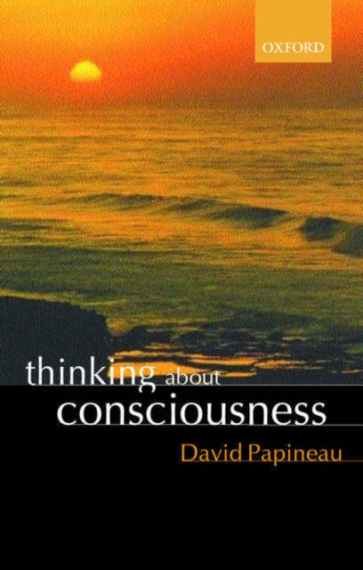 Thinking about Consciousness, Paperback / softback Book